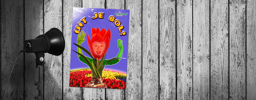 Uit je bol!